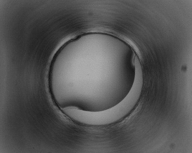 X0000102851138200809081237