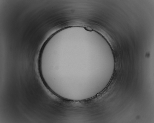 X0000102851139200809081237