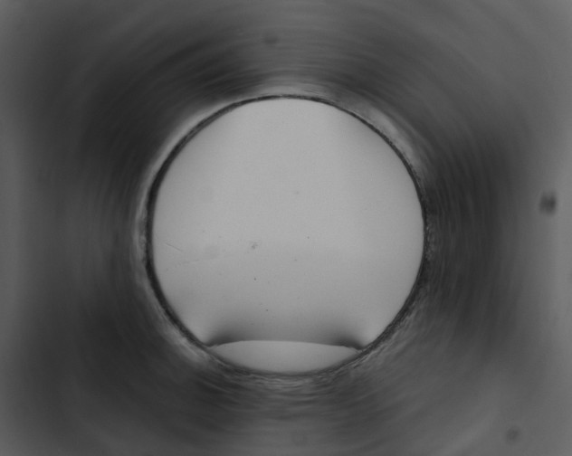 X0000102851140200809081237