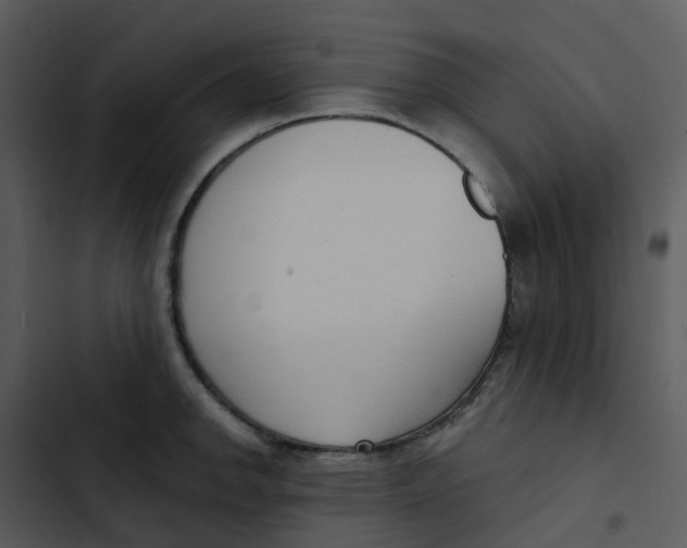 X0000102851142200809081237