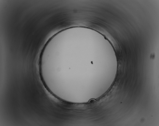 X0000102851143200809081237