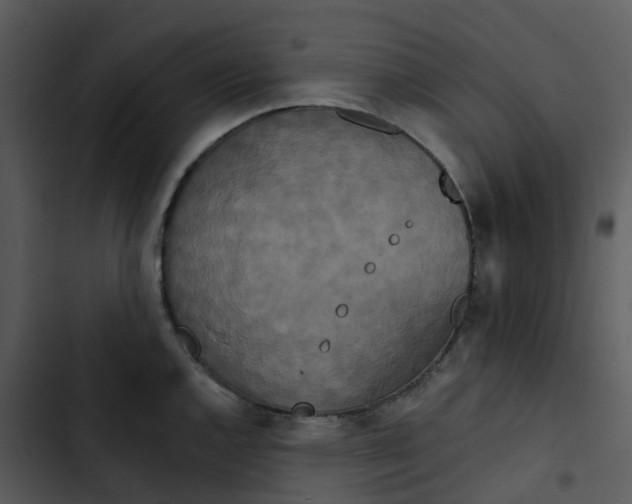 X0000102851144200809081237