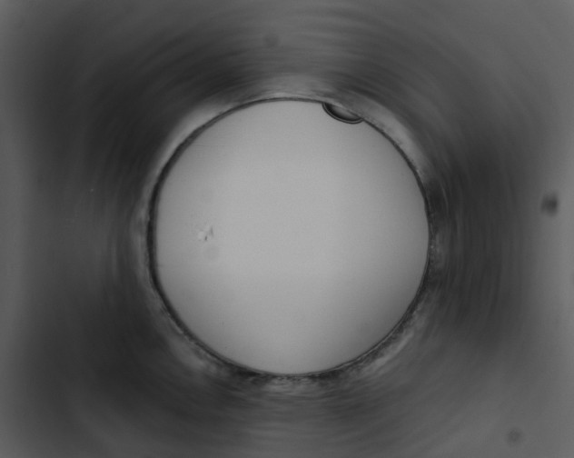 X0000102851146200809081237