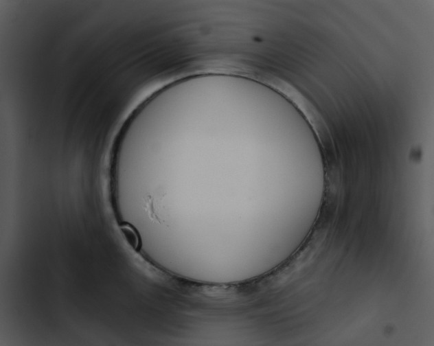 X0000102851147200809081237