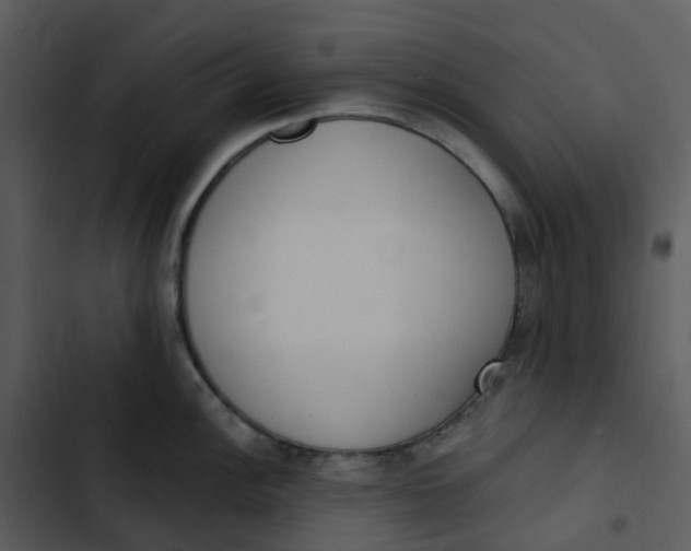 X0000102851148200809081237