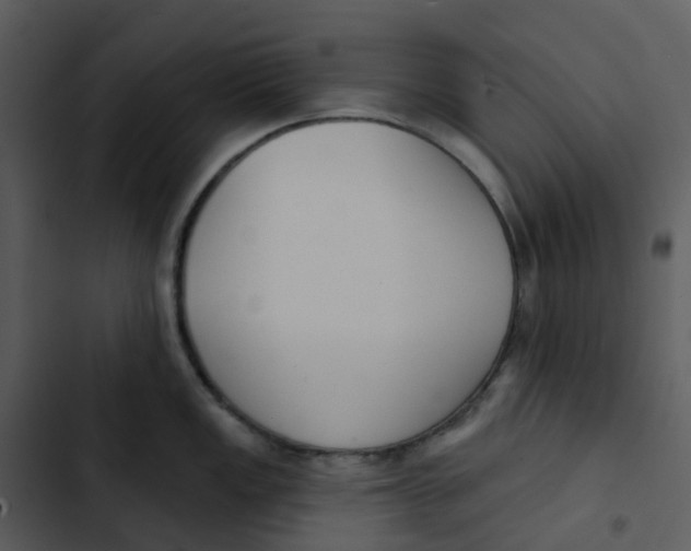 X0000102851149200809081237