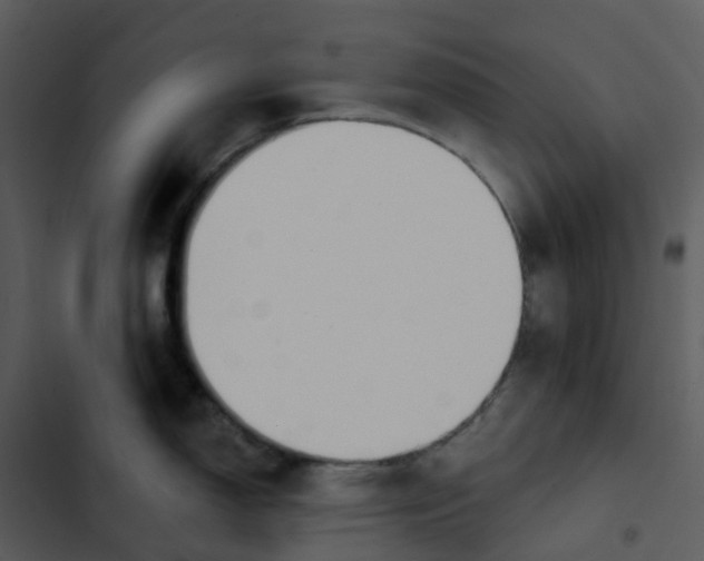 X0000102851150200809081237