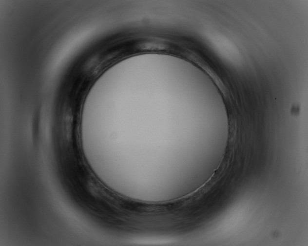 X0000102851151200809081237