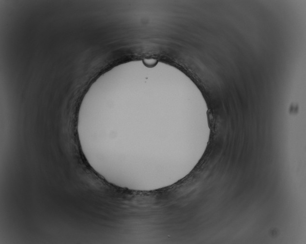 X0000102851153200809081236