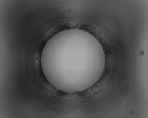 X0000102851154200809081236