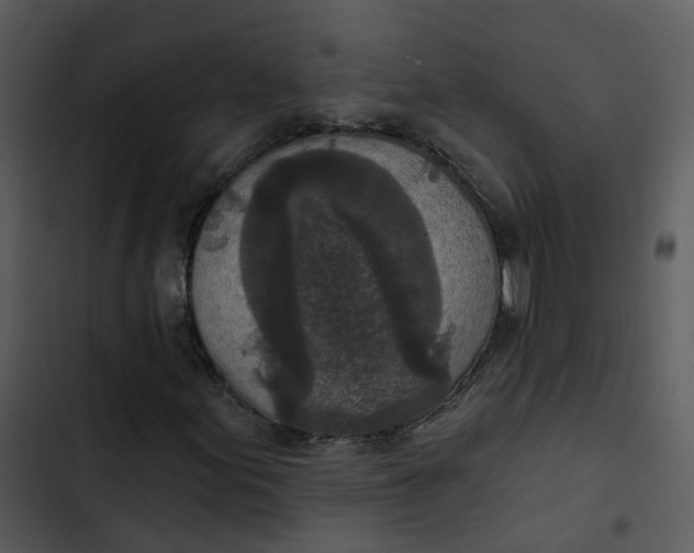 X0000102851155200809081236