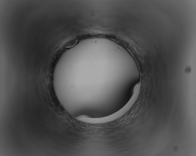 X0000102851157200809081236