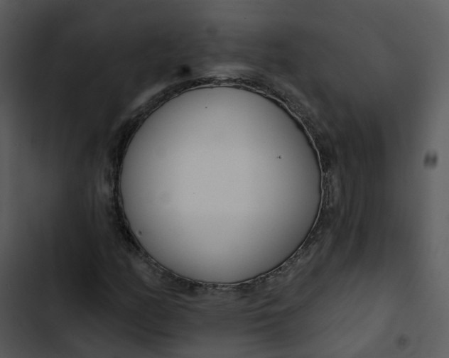 X0000102851158200809081236