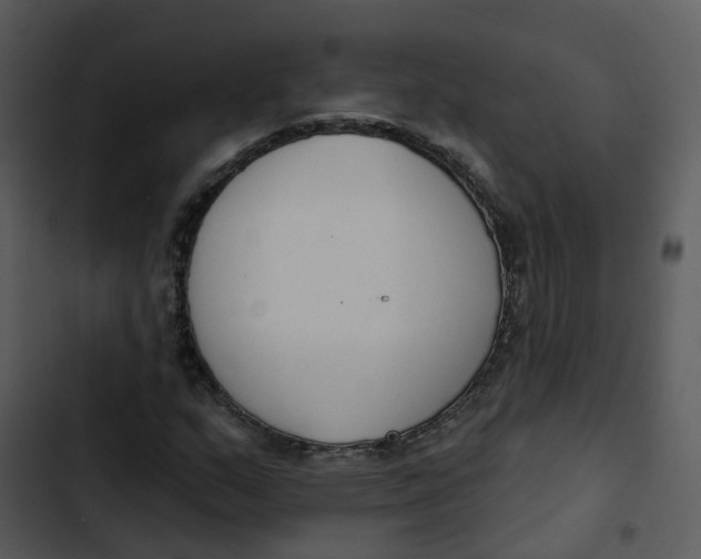 X0000102851159200809081236