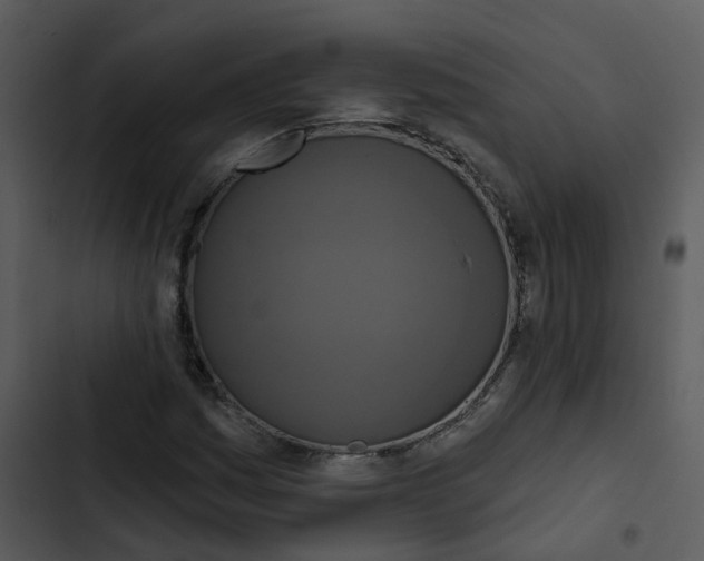 X0000102851161200809081236