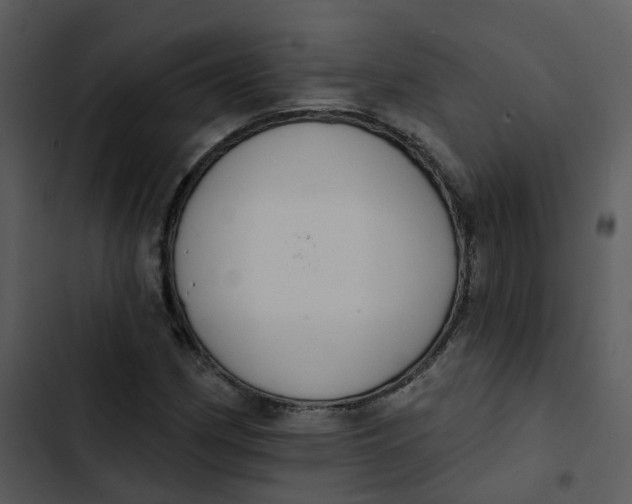 X0000102851162200809081236