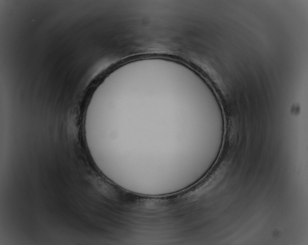 X0000102851163200809081236