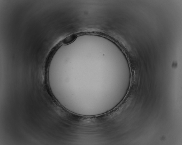 X0000102851165200809081236