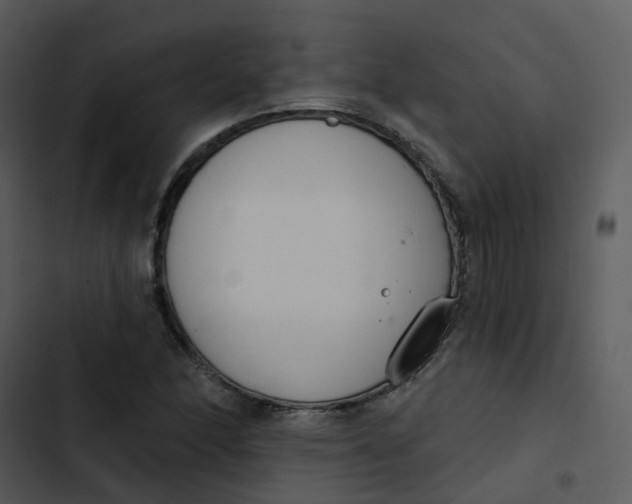 X0000102851166200809081236