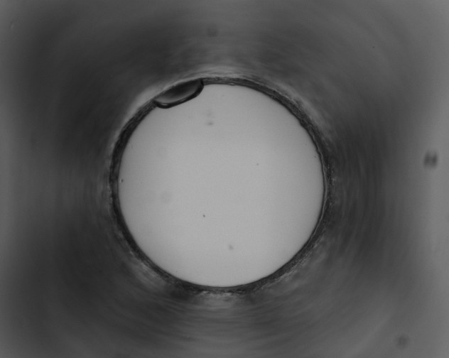 X0000102851168200809081236