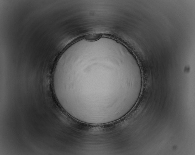 X0000102851169200809081236