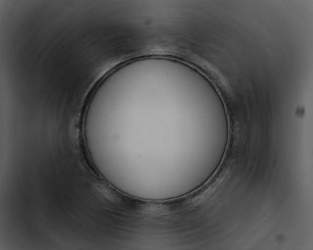 X0000102851170200809081236