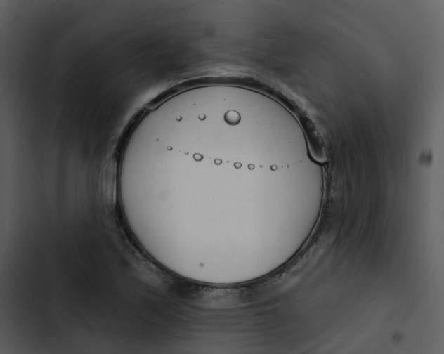 X0000102851171200809081236