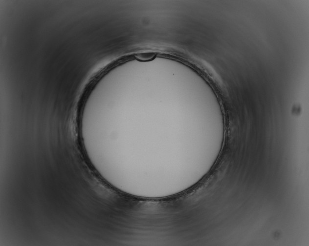 X0000102851172200809081236