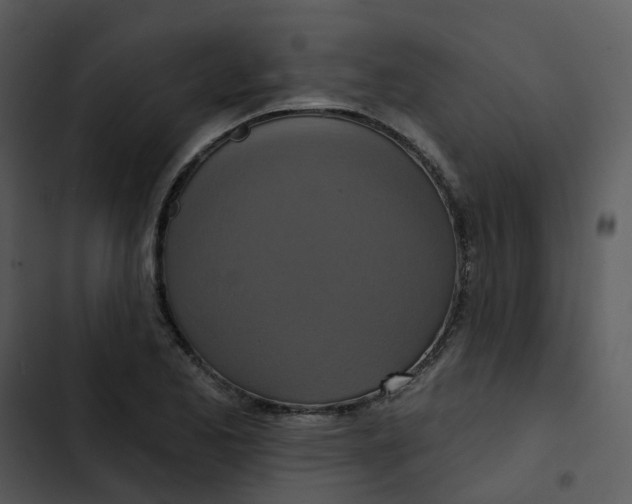 X0000102851173200809081236