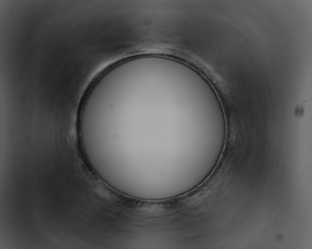 X0000102851174200809081236