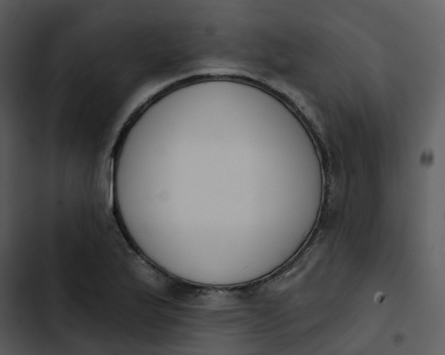 X0000102851175200809081236