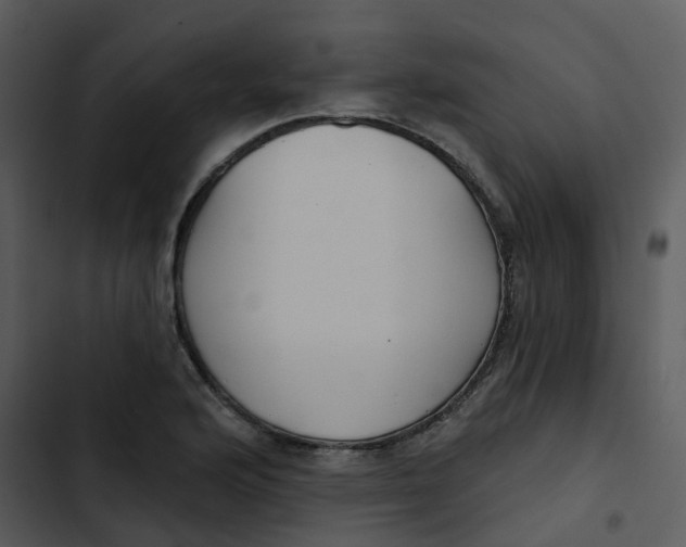 X0000102851176200809081236