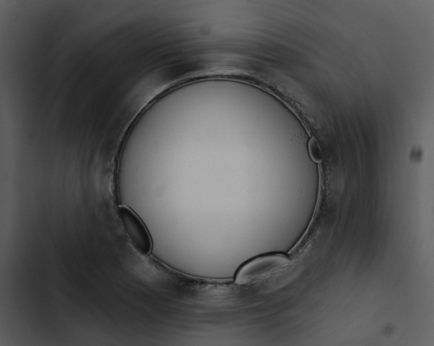 X0000102851177200809081236