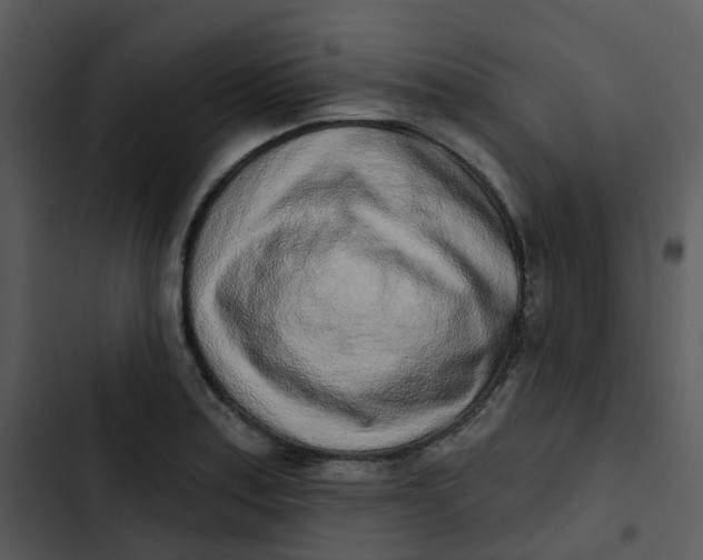 X0000102851179200809081236