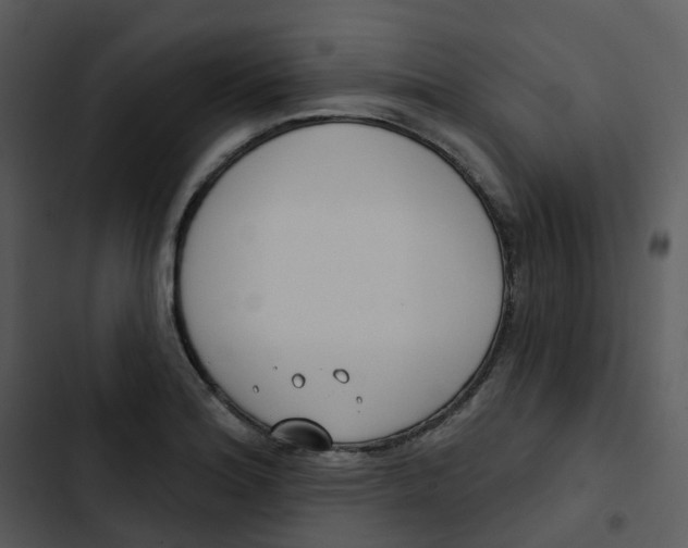 X0000102851180200809081236