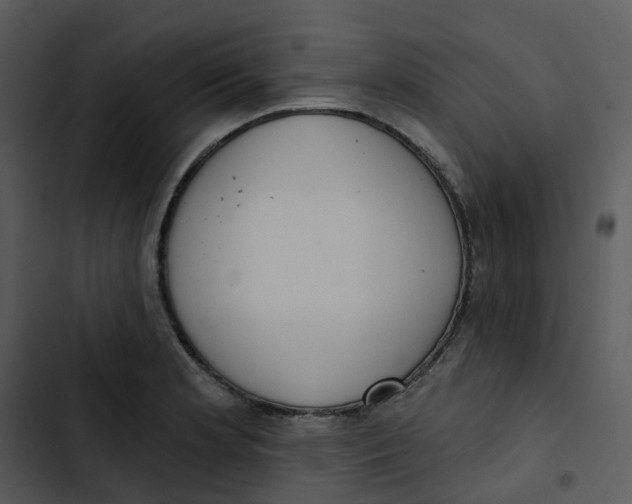 X0000102851181200809081236