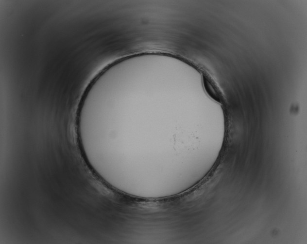 X0000102851182200809081236