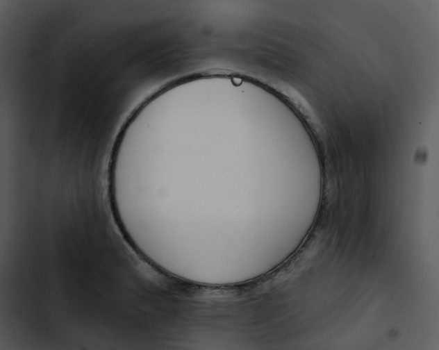 X0000102851183200809081236