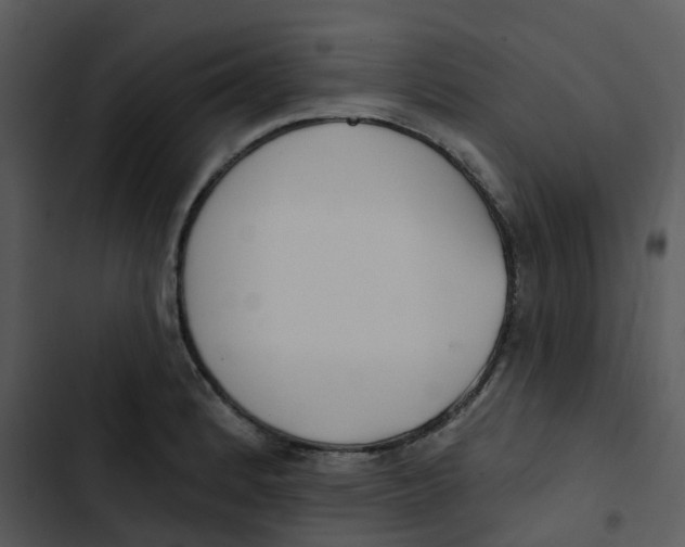 X0000102851184200809081236