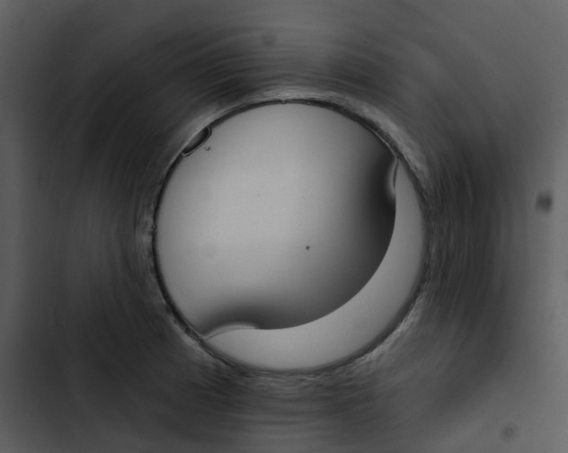 X0000102851185200809081236