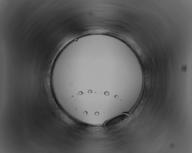 X0000102851186200809081236