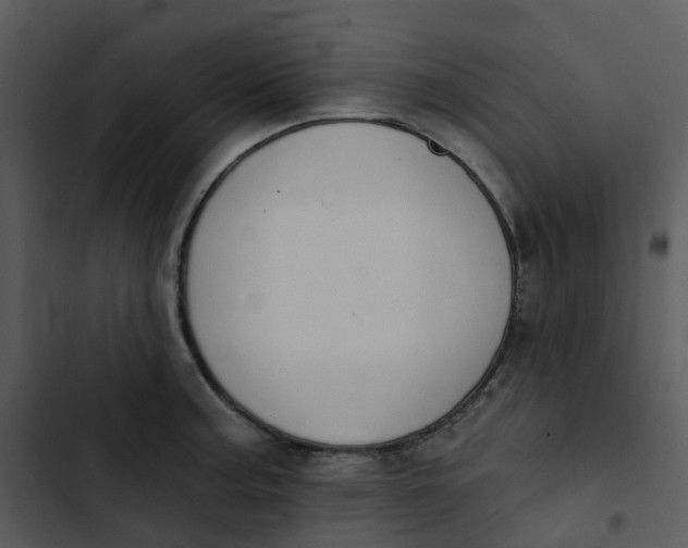 X0000102851187200809081236