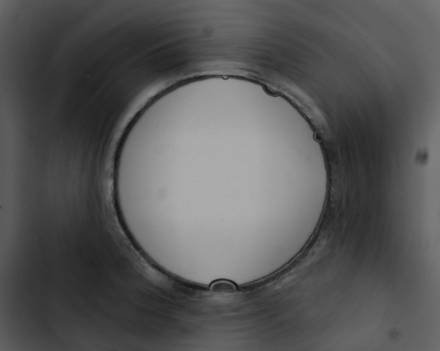 X0000102851188200809081236