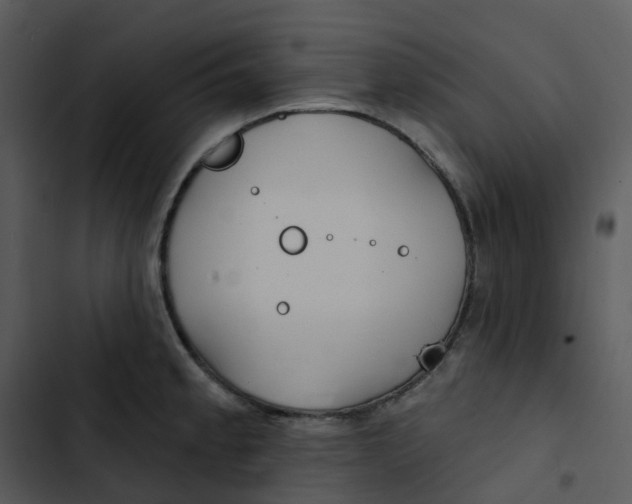 X0000102851189200809081236