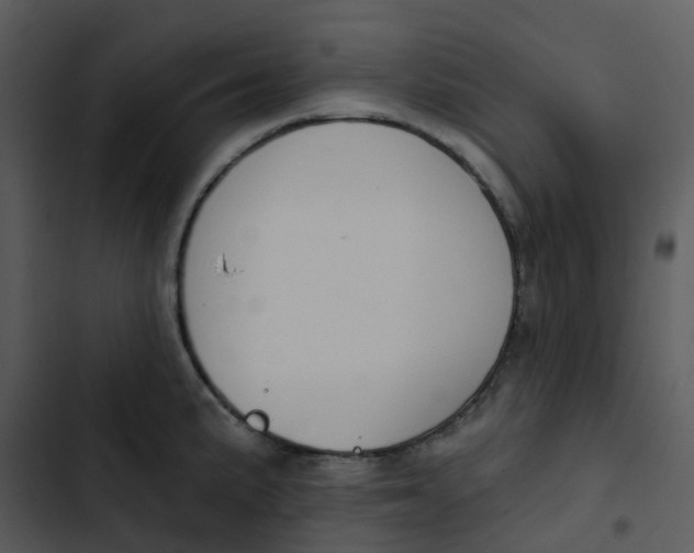 X0000102851191200809081236