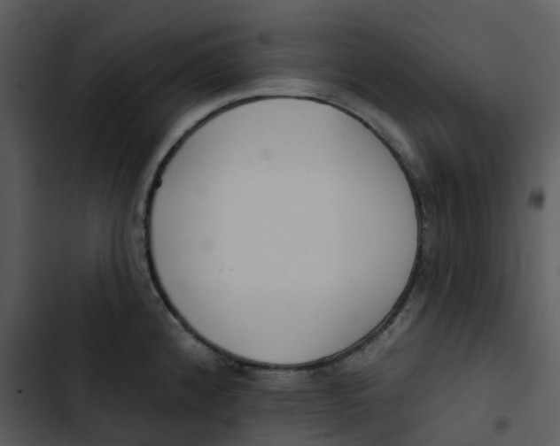 X0000102851192200809081236