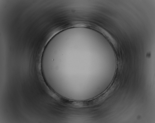 X0000102851194200809081236