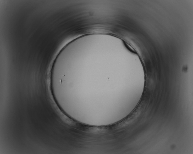 X0000102851195200809081236