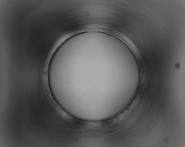 X0000102851196200809081236