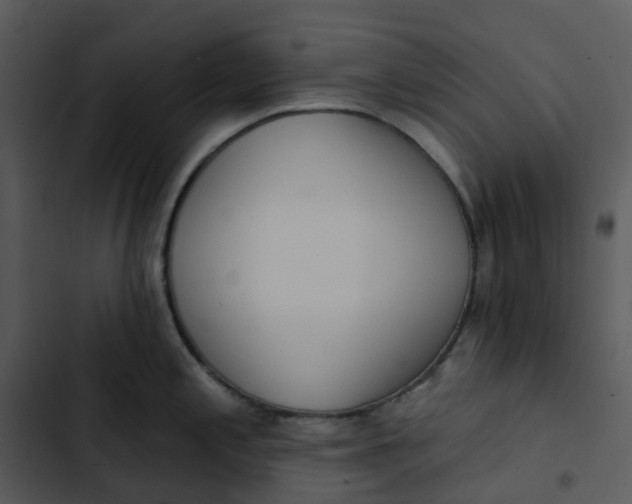 X0000102851197200809081236